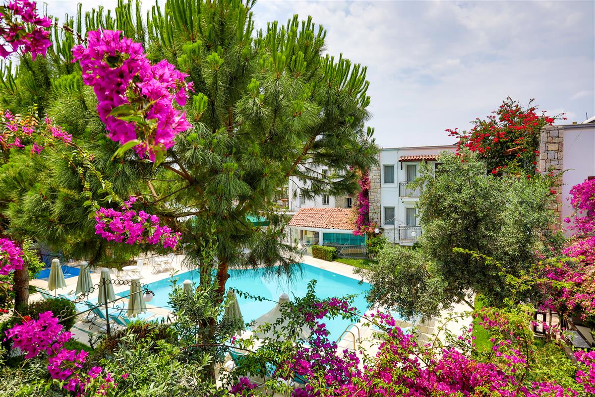 Moonshine Hotel & Suites  Merkez, Bodrum, Muğla